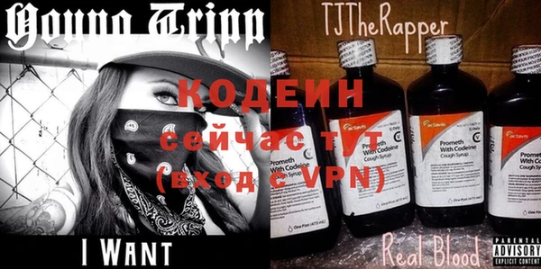ПСИЛОЦИБИНОВЫЕ ГРИБЫ Арсеньев