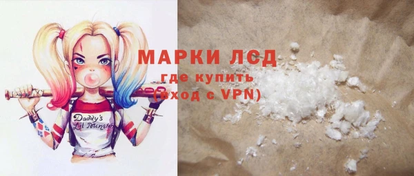 ПСИЛОЦИБИНОВЫЕ ГРИБЫ Арсеньев